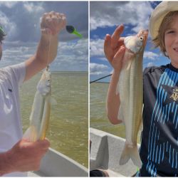 Para dar con los pejerreyes, rinde muy bien el filet de dientudo, aunque hay jornadas en las que se vuelve selectivo y solo acepta mojarra viva.