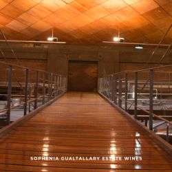 Bodega Sophenia en delirio