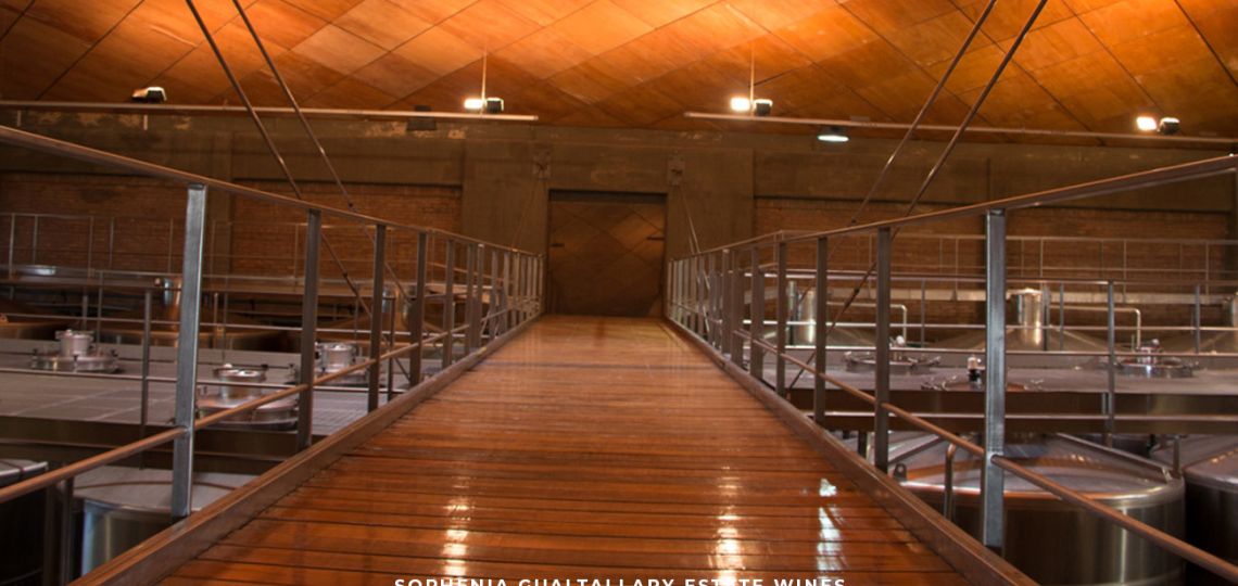 Bienvenida Sophenia a Delirio!