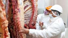 Carne vacuna