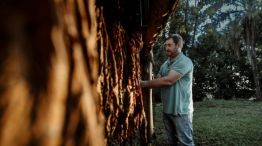 29-01-2026 Misiones precio del tabaco NEA