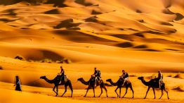 Beduinos en el desierto 28012026