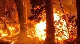 incendios en Corrientes