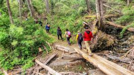 Experiencia Krugger: navegación, gastronomía y trekking en el paraíso del Parque Nacional Los Alerces.