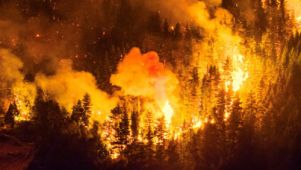 Proponen aplicar la figura de ‘ecocidio’ al Código Penal.