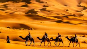 Beduinos en el desierto 28012026