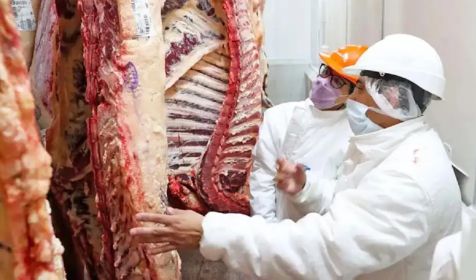 Carne vacuna