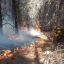 Rains ease fires in Patagonia, but risk of flare-ups remains
