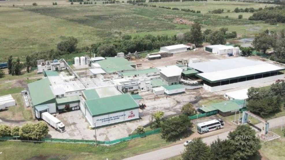 Frigorífico Pico 29012026