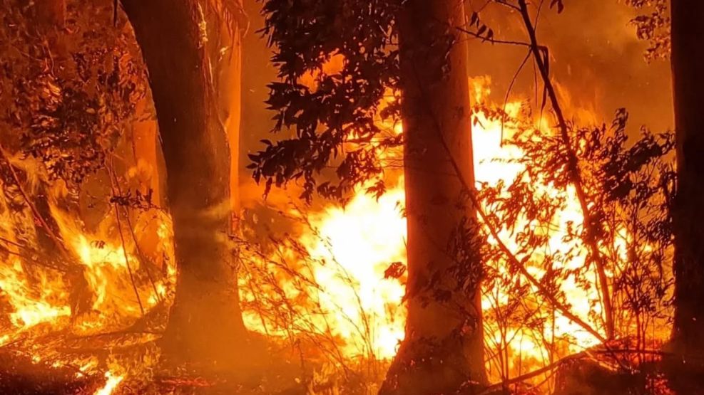 incendios en Corrientes