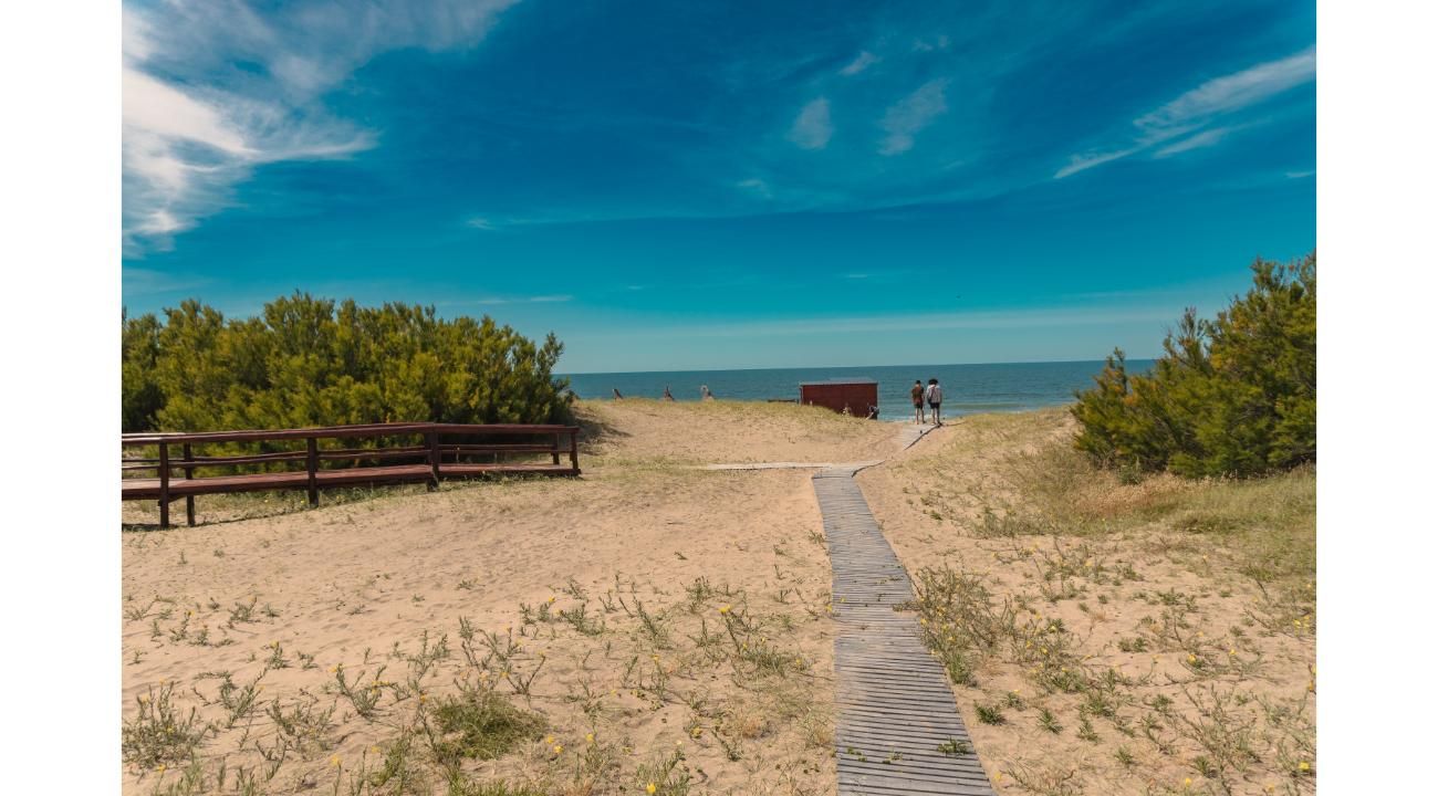 AV366: un verano que se siente diferente