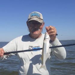 3001_mapa_pique_pesca