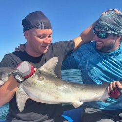 3001_mapa_pique_pesca