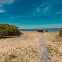 AV366: un verano que se siente diferente