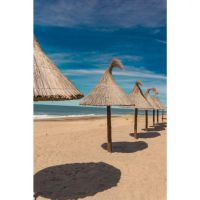 AV366: un verano que se siente diferente