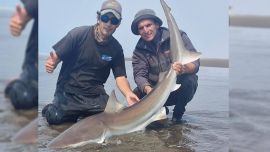 Verano 2026: 130 destinos para disfrutar pescando