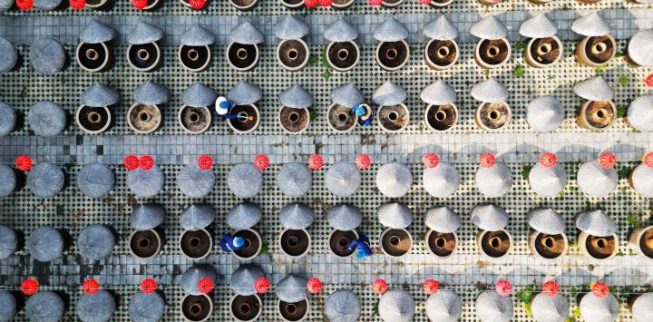 Imagen tomada con un dron de trabajadores revolviendo salsa de soya en fermentación en una cervecería tradicional, en Tengzhou, en la provincia de Shandong, en el este de China.