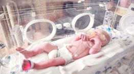 31_01_2026_natalidad_infantil_cedoc_g