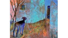 01_02_2026_gatos_perros_muerte_martatoledo_g