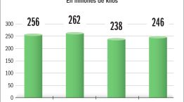 010226_produccion_yerba_anual_gp_g