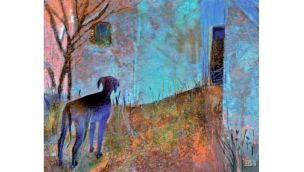 01_02_2026_gatos_perros_muerte_martatoledo_g