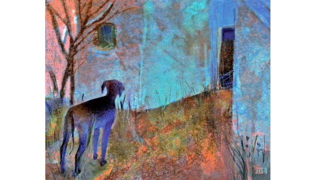 01_02_2026_gatos_perros_muerte_martatoledo_g