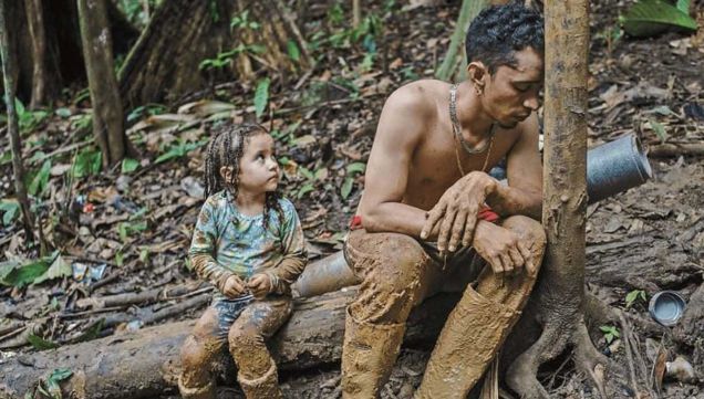 01_02_2026_selva_darien_federicorios_g