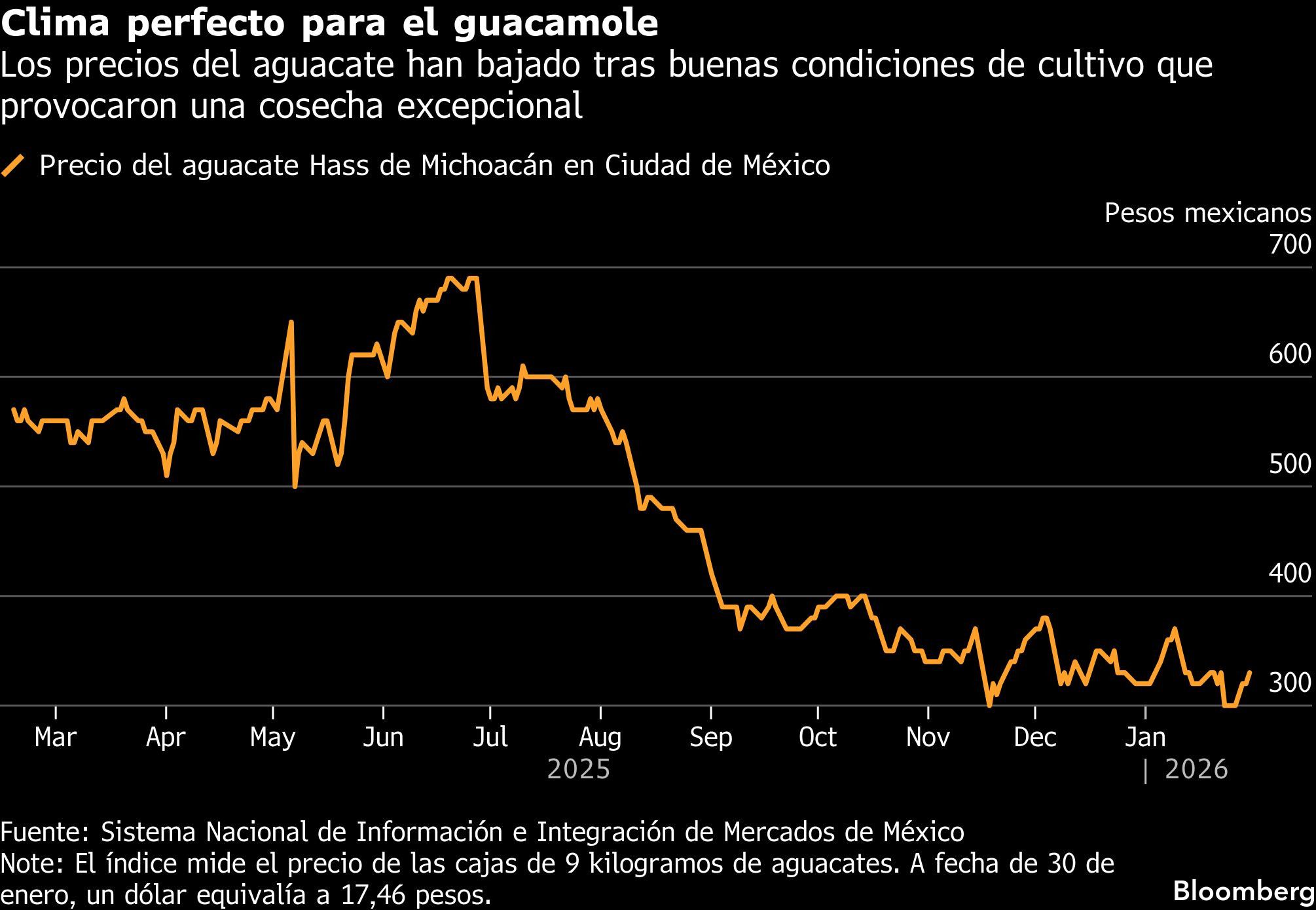 Clima perfecto para el guacamole | Los precios del aguacate han bajado tras buenas condiciones de cultivo que provocaron una cosecha excepcional