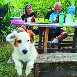 A través de caminos rurales poco transitados se llega a la pulpería La Confianza, ubicada frente a la estación Etchegoyen del FF.CC. Urquiza, hoy cerrada. 