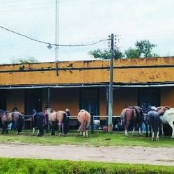A través de caminos rurales poco transitados se llega a la pulpería La Confianza, ubicada frente a la estación Etchegoyen del FF.CC. Urquiza, hoy cerrada. 