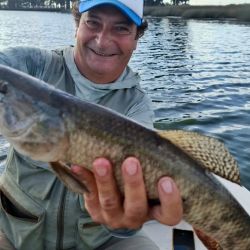 San Miguel del Monte vuelve a demostrar por qué nunca se la puede descartar. Mientras el pejerrey espera tiempos mejores, la tararira mantiene viva la pasión y asegura jornadas positivas.