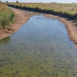 El Río V nace en la provincia de San Luis, con sus nacientes ubicadas en los manantiales del Cerro Retama y en las laderas del Cerro Tomolasta.
