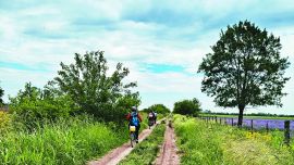 A través de caminos rurales poco transitados se llega a la pulpería La Confianza, ubicada frente a la estación Etchegoyen del FF.CC. Urquiza, hoy cerrada.