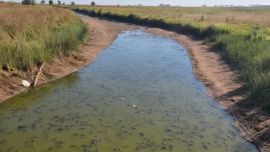 El Río V nace en la provincia de San Luis, con sus nacientes ubicadas en los manantiales del Cerro Retama y en las laderas del Cerro Tomolasta.