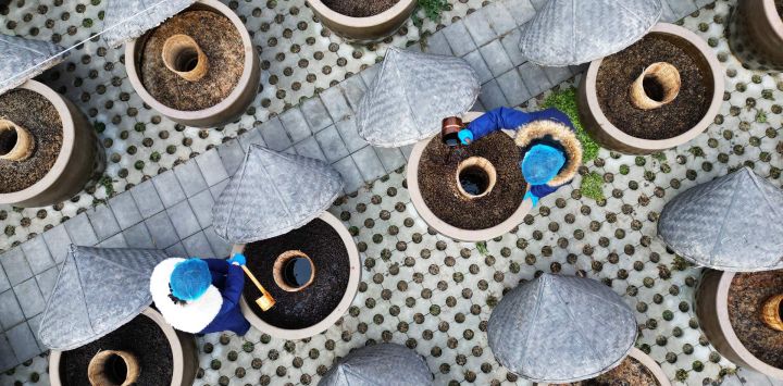 Imagen tomada con un dron de trabajadores revolviendo salsa de soja en fermentación en una cervecería tradicional, en Tengzhou, en la provincia de Shandong, en el este de China.