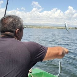 Las líneas que marcaron la diferencia fueron las líneas de vuelo de dos anzuelos, equipadas con plomos livianos de 5 gramos, ideales para trabajar de manera delicada en media agua.