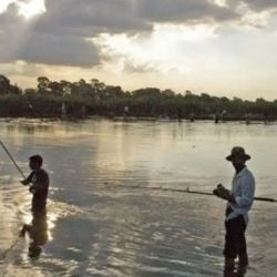 La reapertura de la pesca en Santiago del Estero devuelve una esperada posibilidad para los aficionados, aunque en un contexto que exige responsabilidad y atención. Con ríos crecidos y controles reforzados, las autoridades insisten en que la seguridad y el respeto por la normativa deben ser prioridad. 
