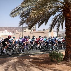 El pelotón pasa junto a una mezquita durante la tercera etapa del AlUla Tour, de 142,1 km entre Winter Park y Bir Jaydah Mountain Wirkah. | Foto:ANNE-CHRISTINE POUJOULAT / AFP