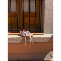 Colores que se sienten: María presenta "Gelato", la tendencia del Verano 2026