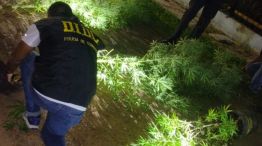 robo a productor correntino