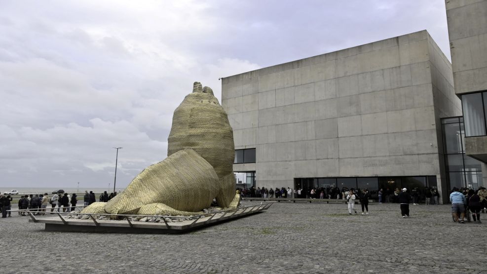 Museo de Mar del Plata