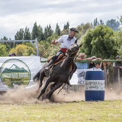 La Expo Rural Bariloche se hará del 13 al 15 de febrero.