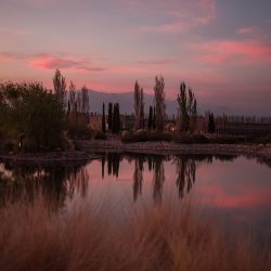 Rossel Boher, Mendoza.