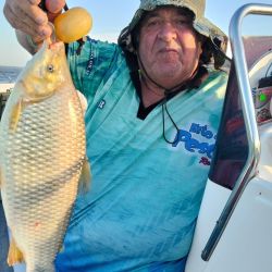 Según los guías de la zona, queda al menos un mes más de buena pesca de bogas, hasta que el descenso de las temperaturas marque el repliegue de la especie. 