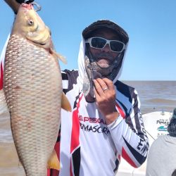 Según los guías de la zona, queda al menos un mes más de buena pesca de bogas, hasta que el descenso de las temperaturas marque el repliegue de la especie. 