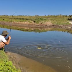 Aunque la regla es general, el sistema no es uniforme en todo el país. Cada jurisdicción define su propia reglamentación, con diferencias en costos, vigencia y alcance del permiso.