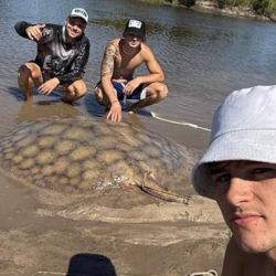 La raya emprendió una larga corrida que obligó a los jóvenes a subirse a los kayaks y dejarse arrastrar corriente abajo. En su desplazamiento, el pez los llevó de punta a punta del arroyo, recorriendo cerca de un kilómetro y medio mientras intentaban cansarlo.