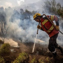 Un bombero trabaja para extinguir un incendio forestal en las montañas de la zona rural de Epuyén, en la región patagónica de la provincia de Chubut, Argentina. El gobierno argentino declaró la emergencia en la Patagonia, donde los incendios forestales han arrasado vastas extensiones de bosque desde el inicio del verano austral. | Foto:Tomas Cuesta / AFP
