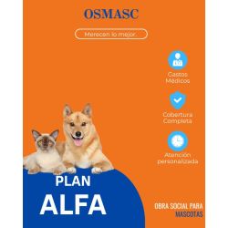 Tendencias en bienestar animal: del seguro médico al cuidado integral | Foto:CONTENTNOTICIAS