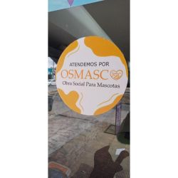 Tendencias en bienestar animal: del seguro médico al cuidado integral | Foto:CONTENTNOTICIAS